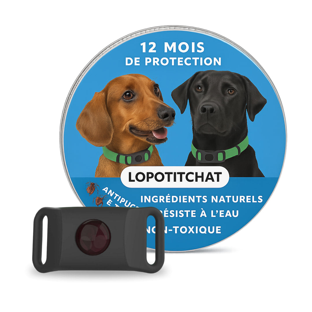 Pendentif anti puces et anti tiques | LoPotitCharm™