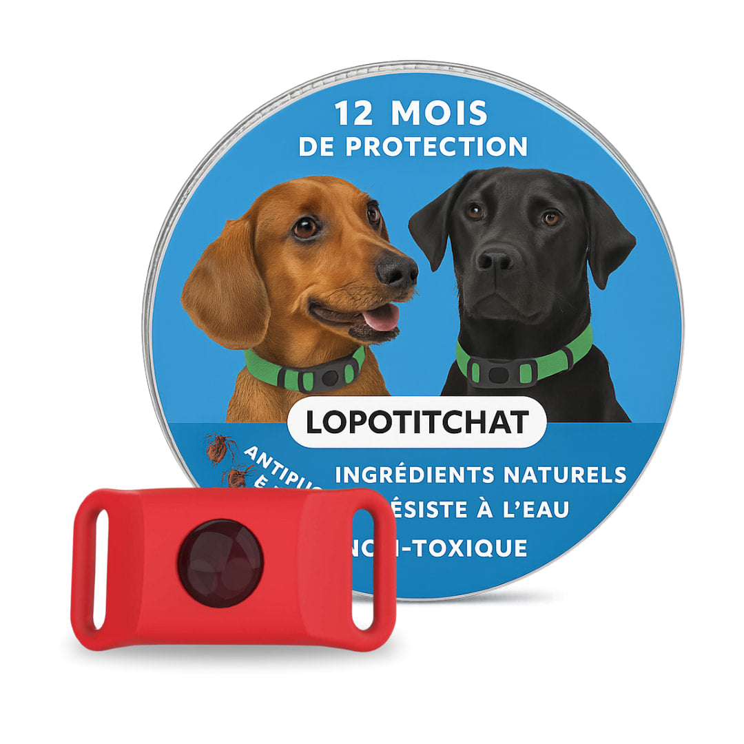 Pendentif anti puces et anti tiques | LoPotitCharm™