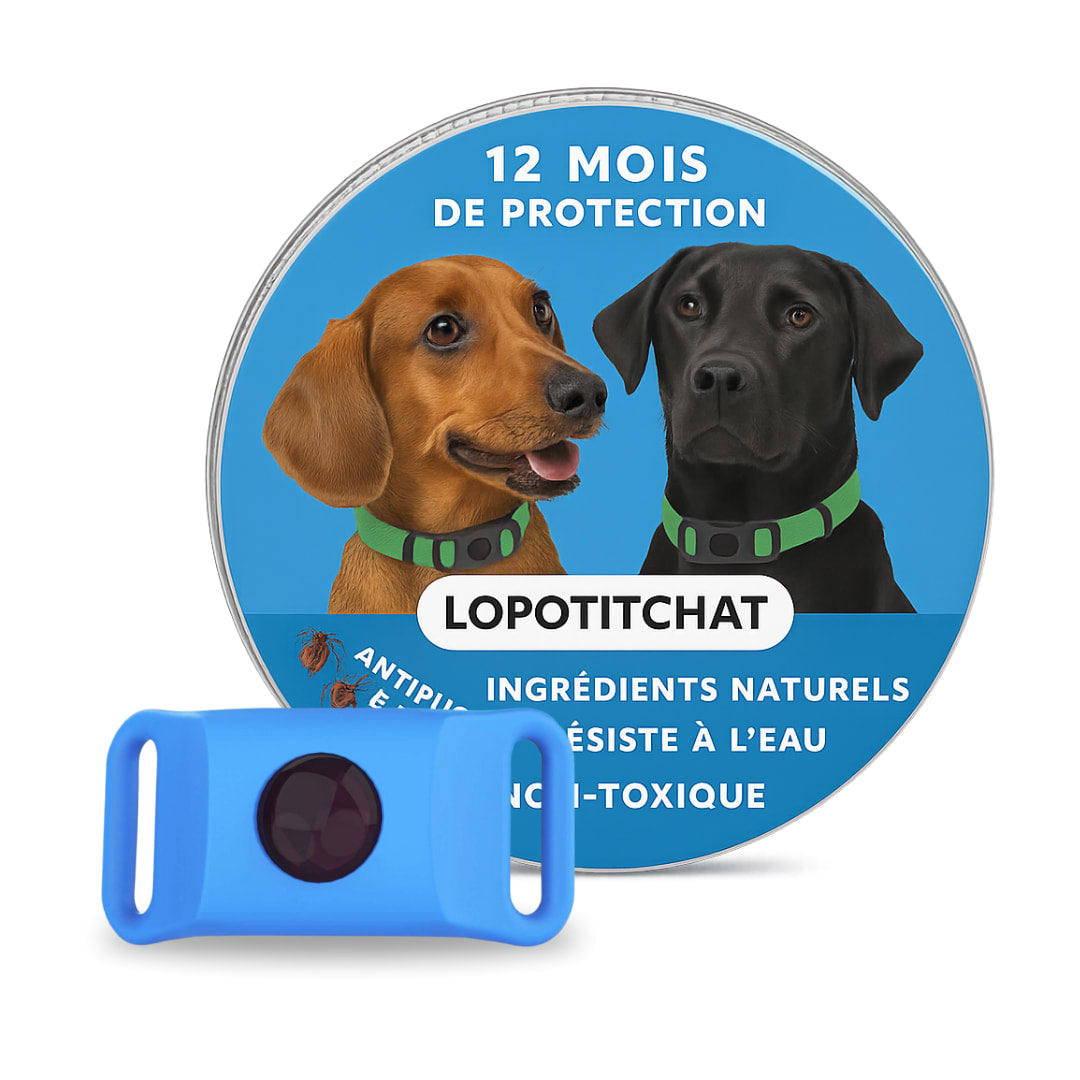 Pendentif anti puces et anti tiques | LoPotitCharm™