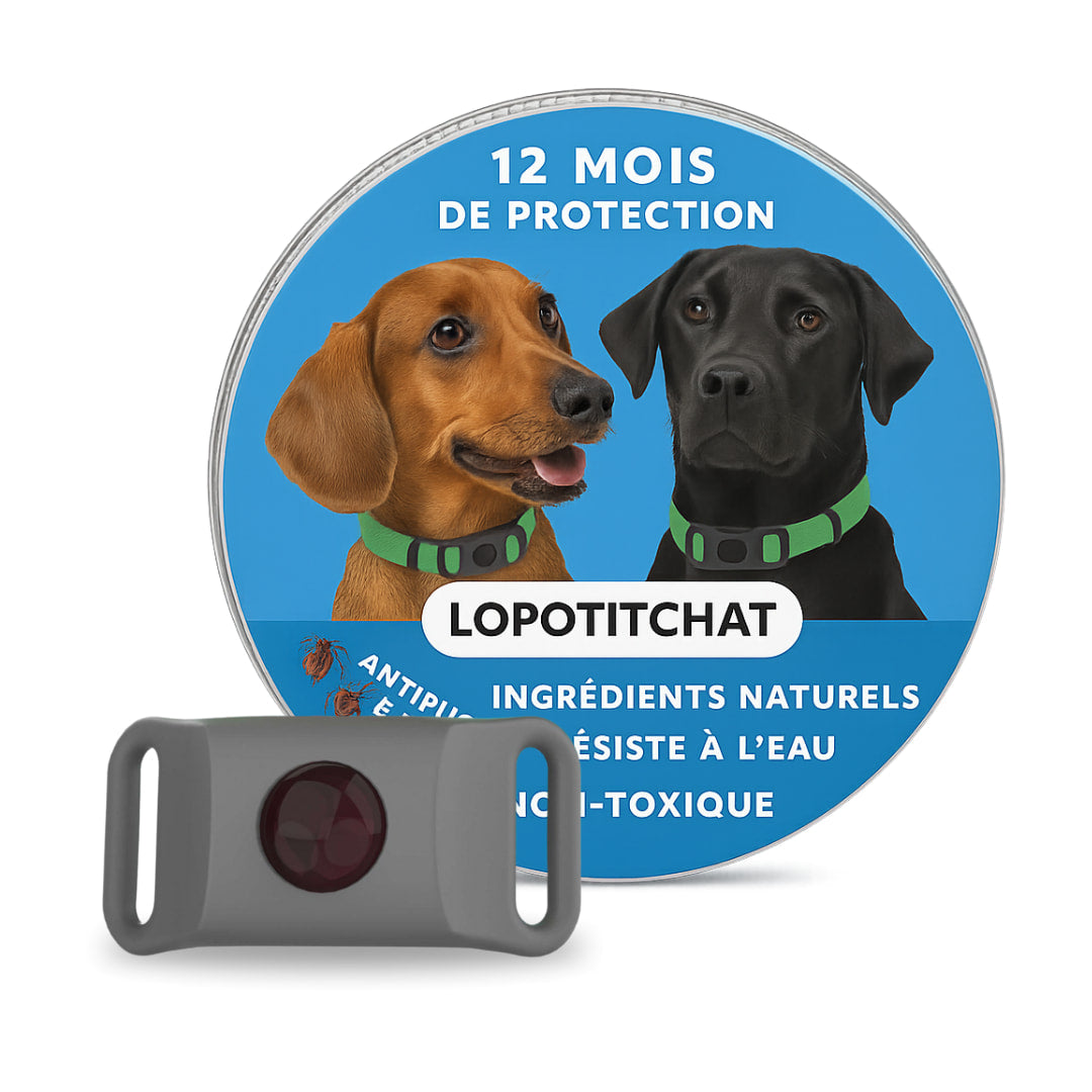 Pendentif anti puces et anti tiques | LoPotitCharm™