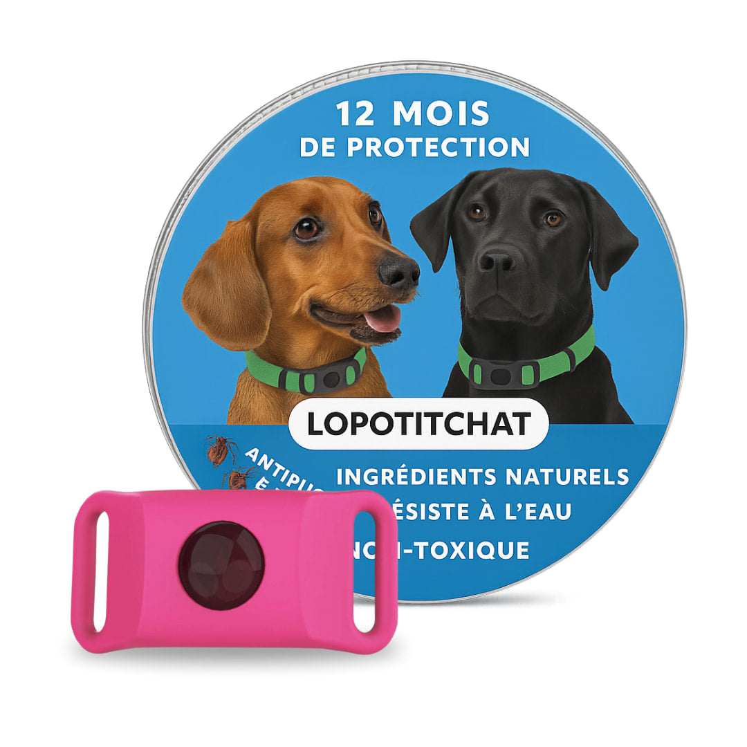 Pendentif anti puces et anti tiques | LoPotitCharm™