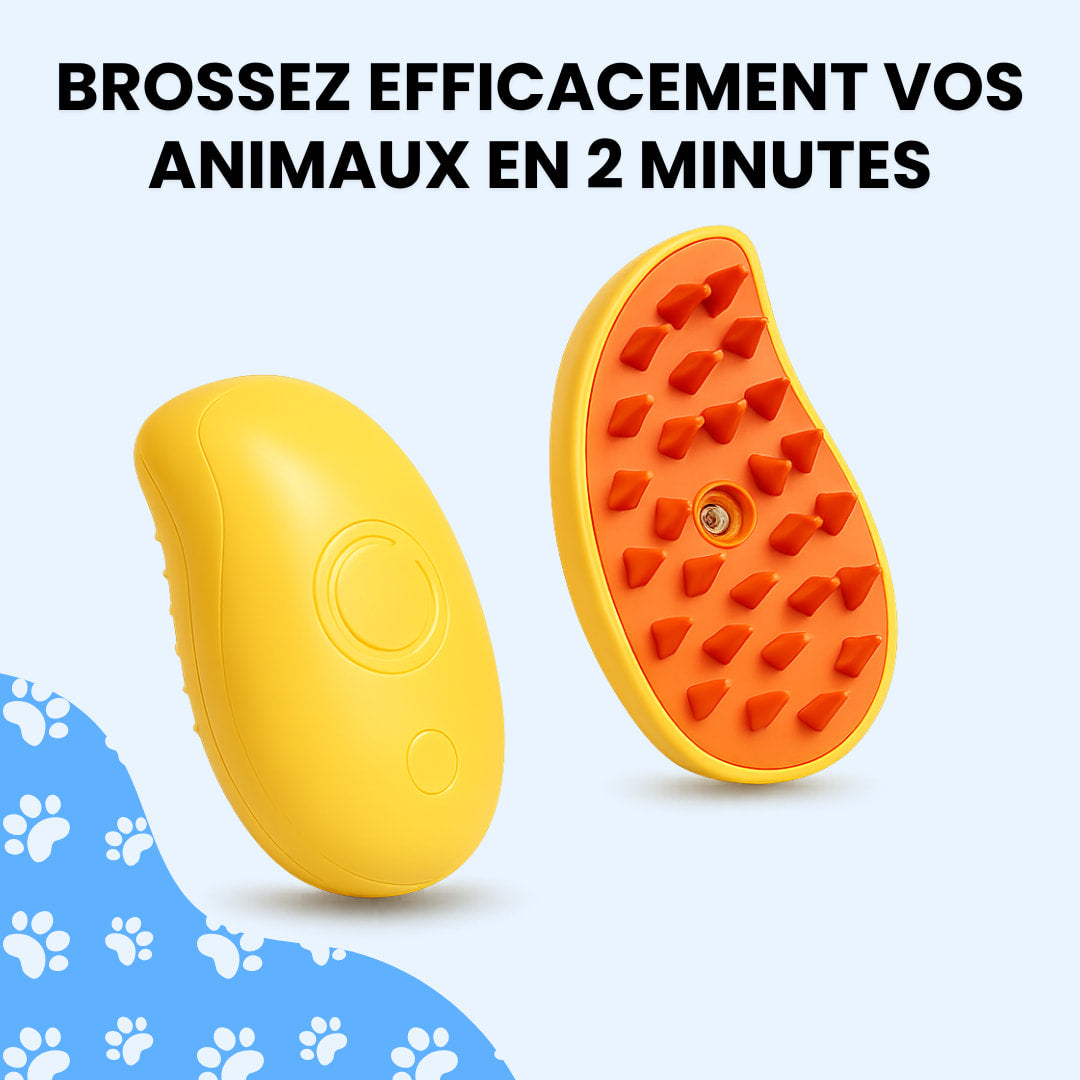 Brosse à vapeur