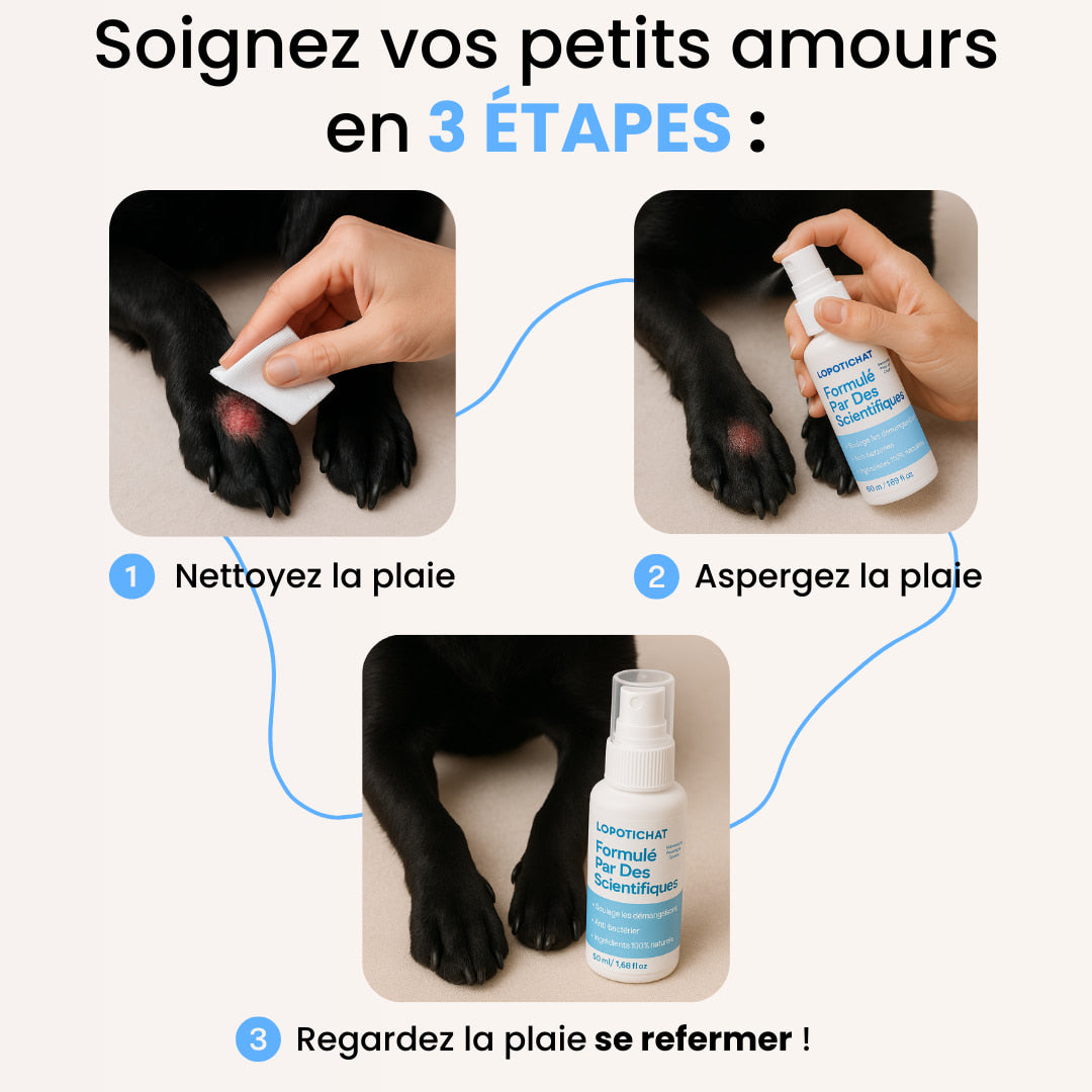 LoPotitSpray™