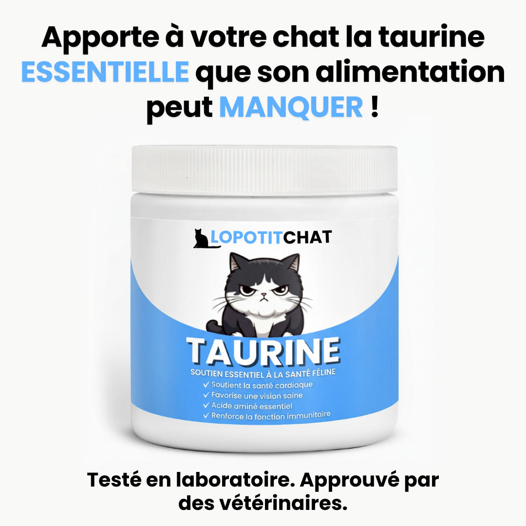 LoPotitChat™ – Complément en taurine pour chats