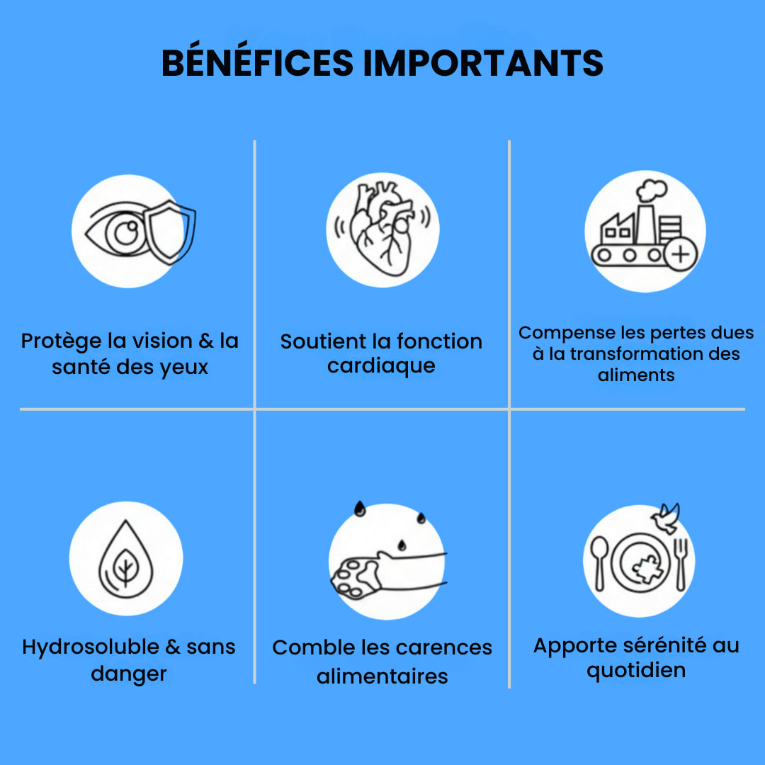 LoPotitChat™ – Complément en taurine pour chats