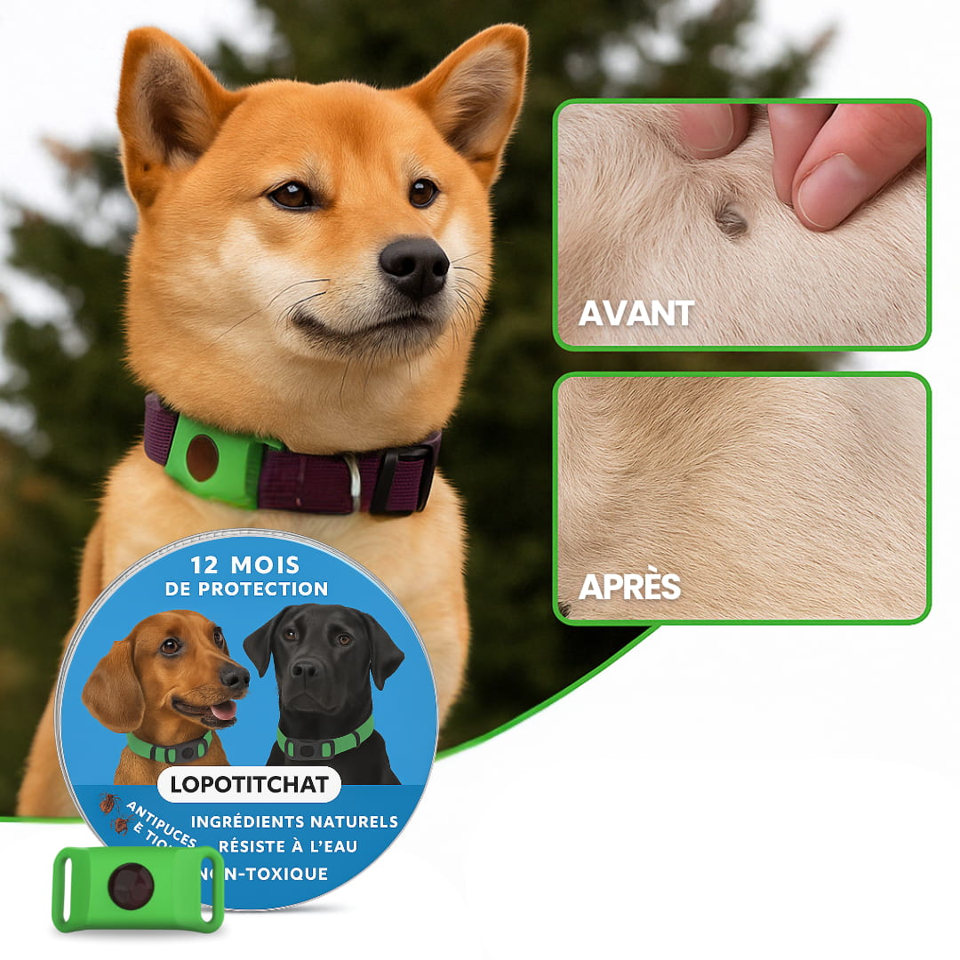 Pendentif anti puces et anti tiques | LoPotitCharm™