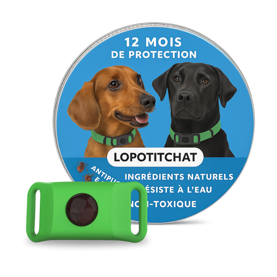 Pendentif anti puces et anti tiques | LoPotitCharm™