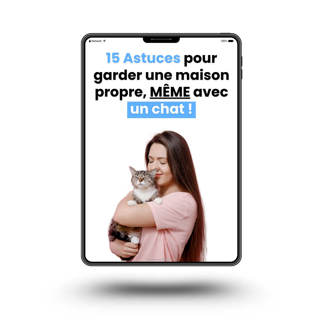 Guide Ebook