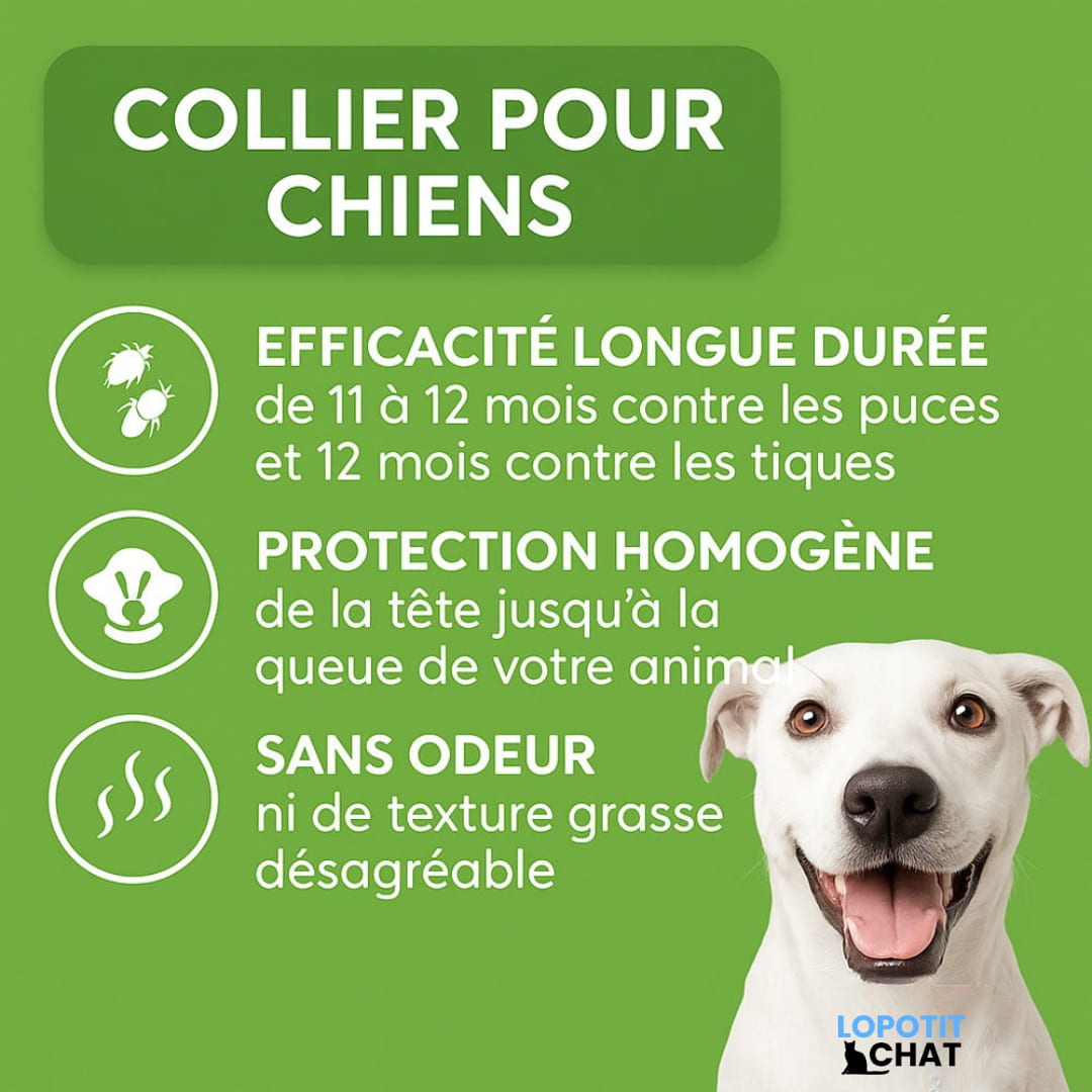 Pendentif anti puces et anti tiques | LoPotitCharm™
