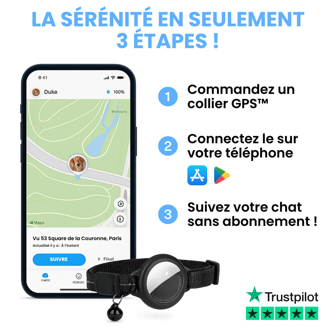 Collier GPS pour chat