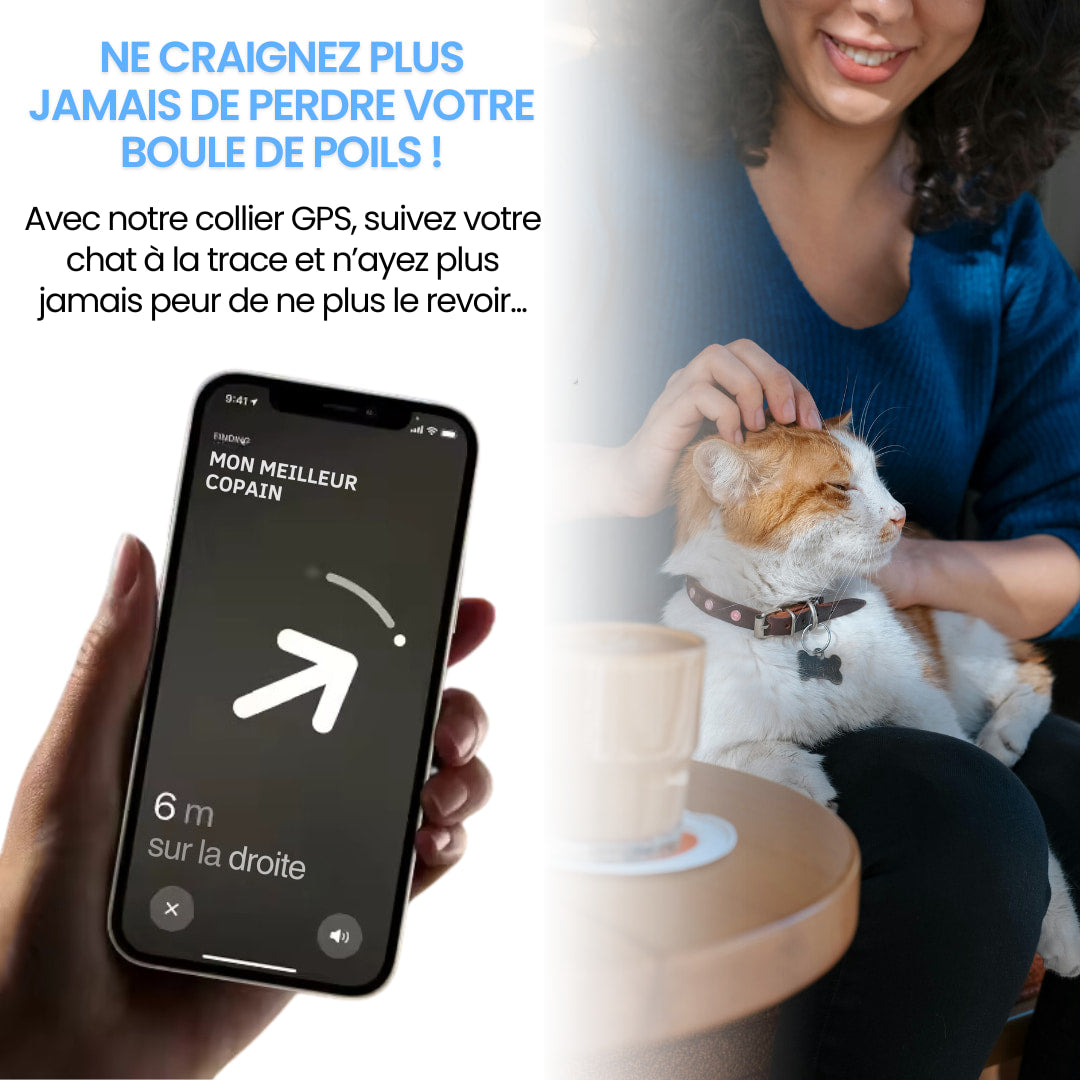 Collier GPS pour chat