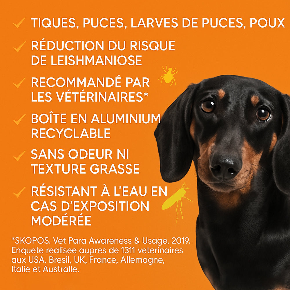 Pendentif anti puces et anti tiques | LoPotitCharm™