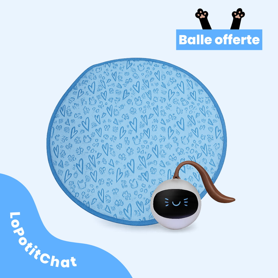 LoPotitChat™ - Jouet de chasse