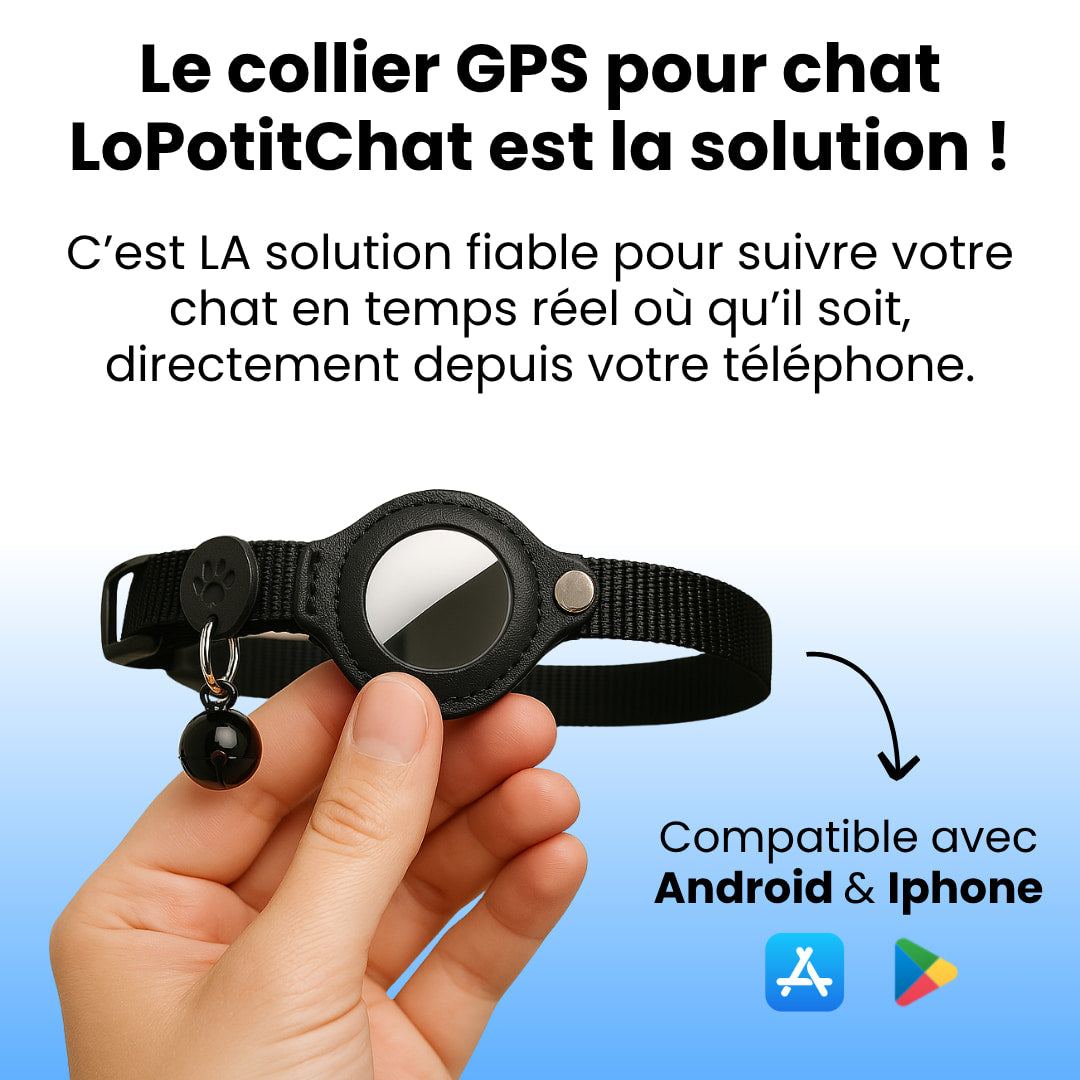 Collier GPS Pour Chat