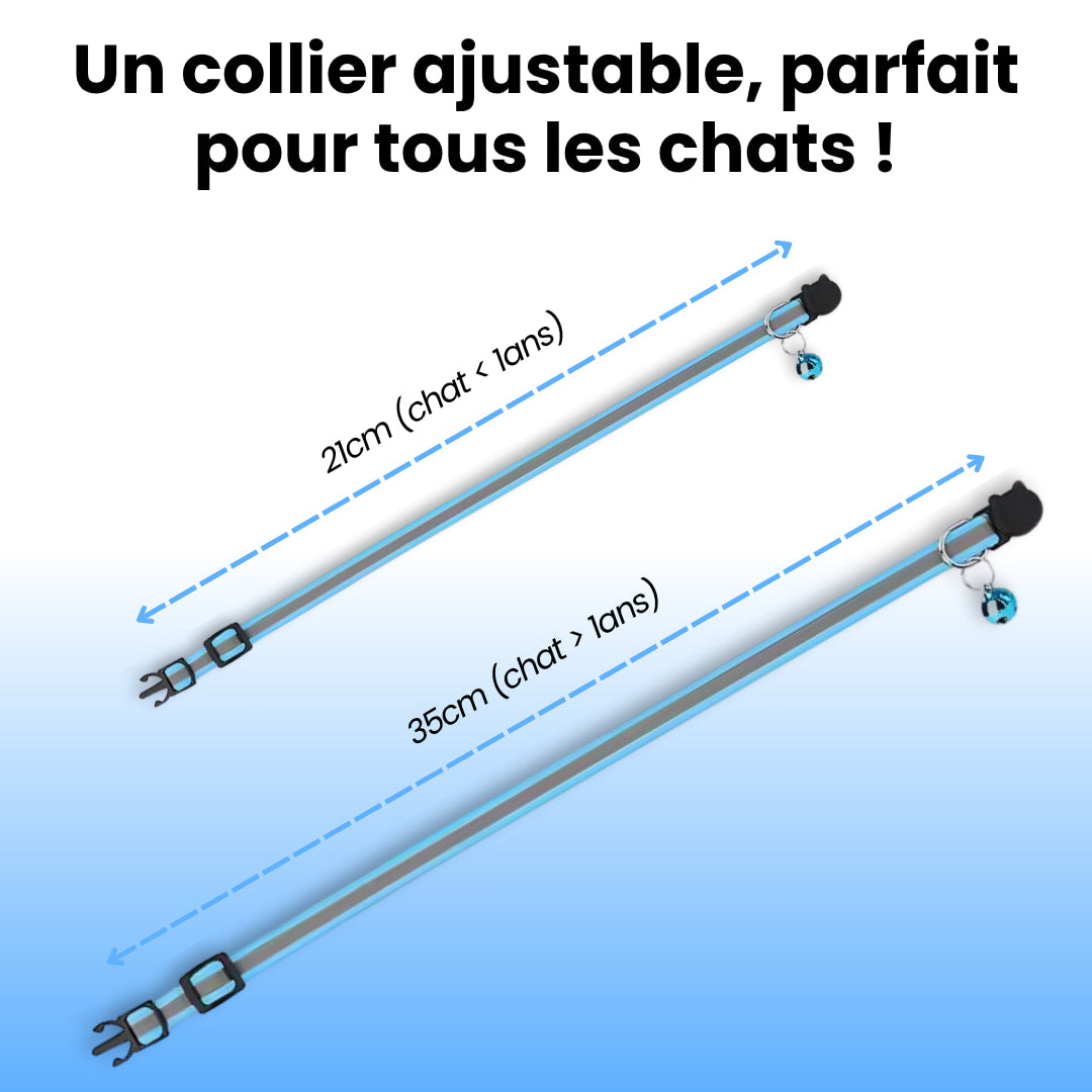 Collier GPS Pour Chat
