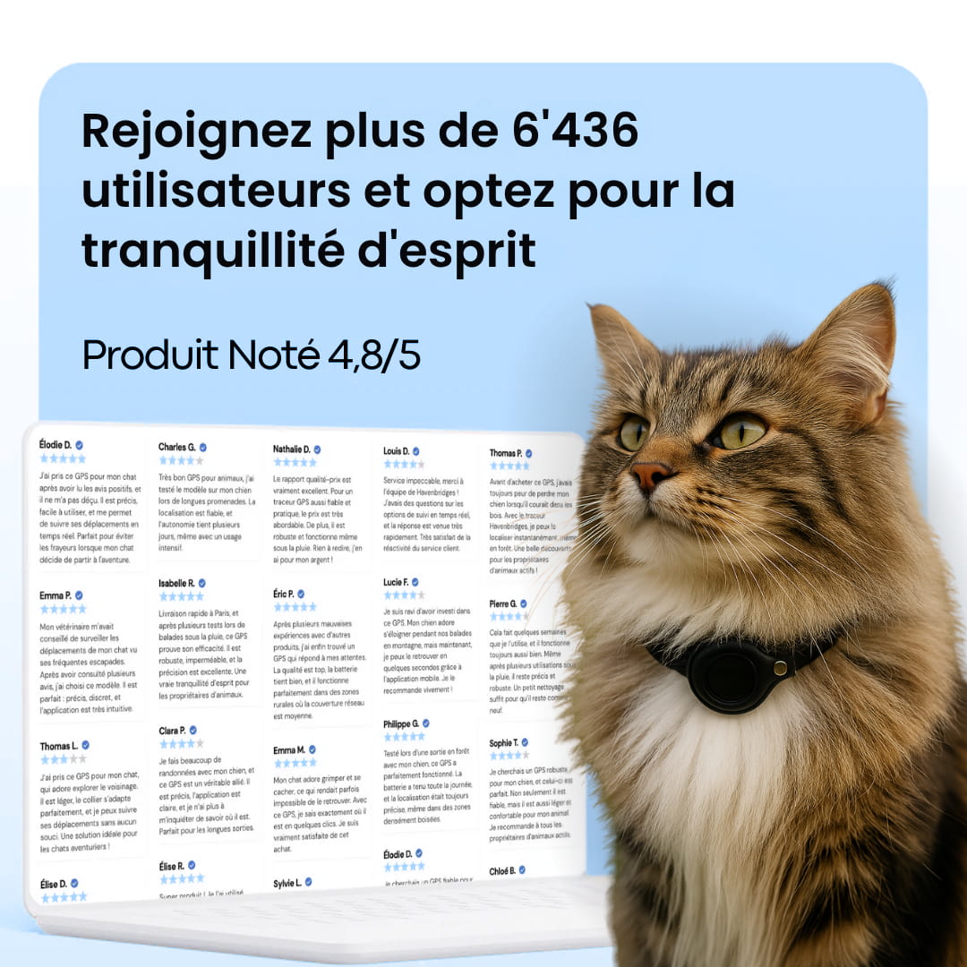 Collier GPS Pour Chat