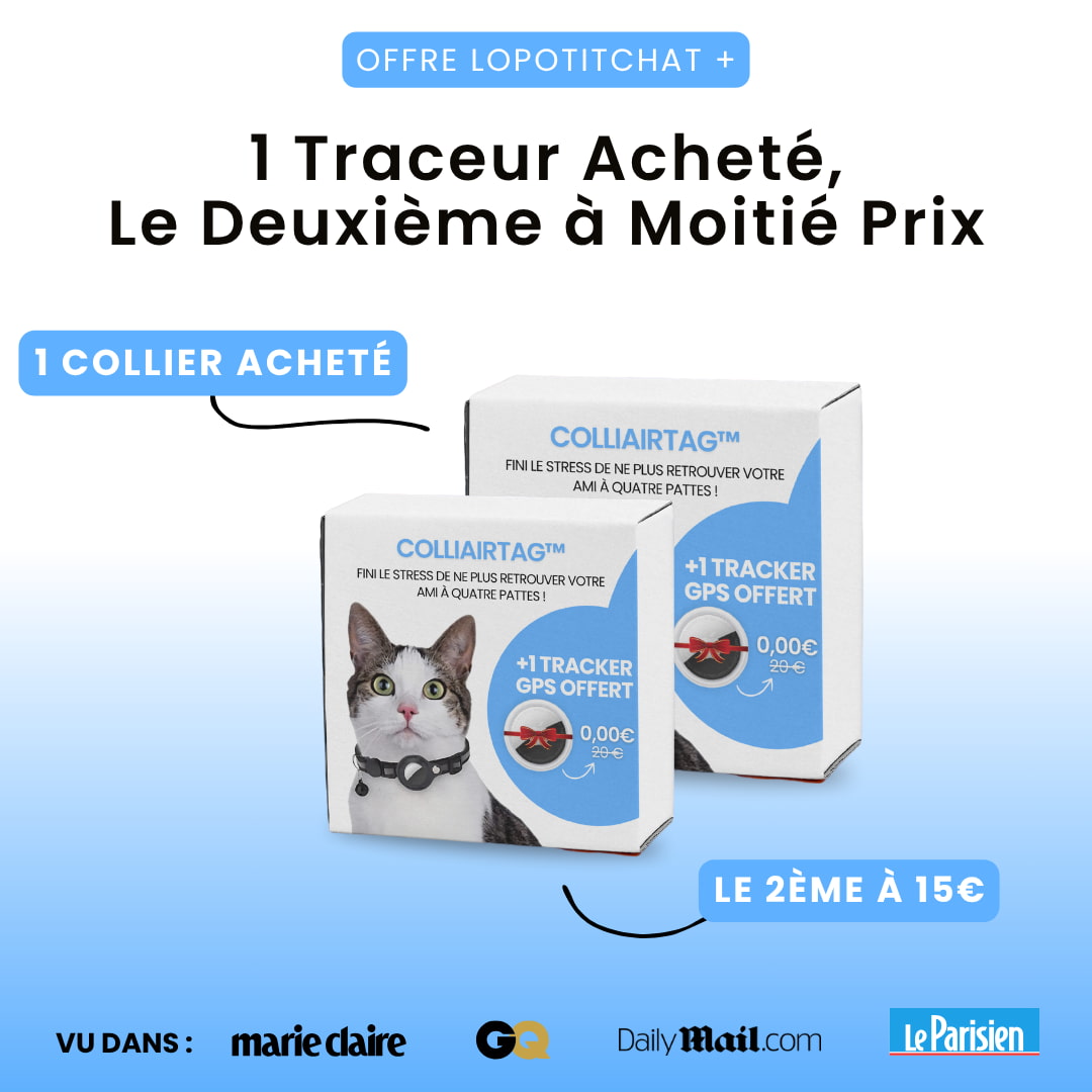 Collier GPS Pour Chat