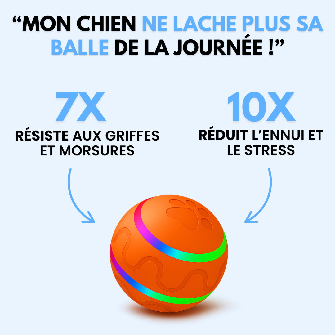 Bally™ 2.0 - Élu produit de l'année 2025