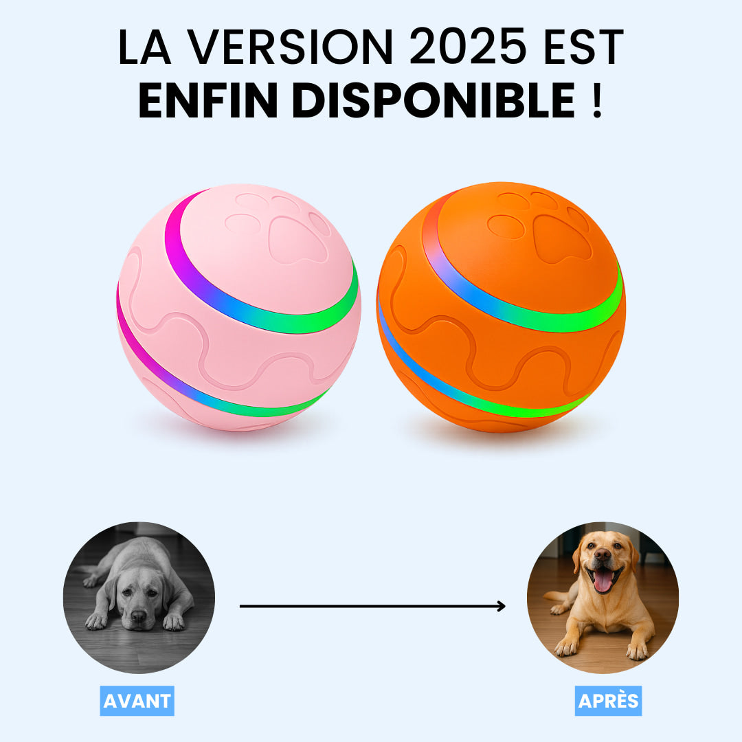 Bally™ 2.0 - Élu produit de l'année 2025