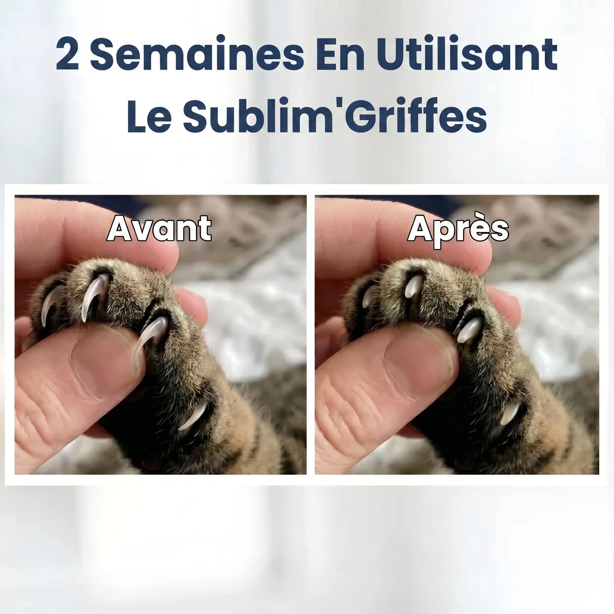 Boîte Sublim'Griffes - Notre Bestseller