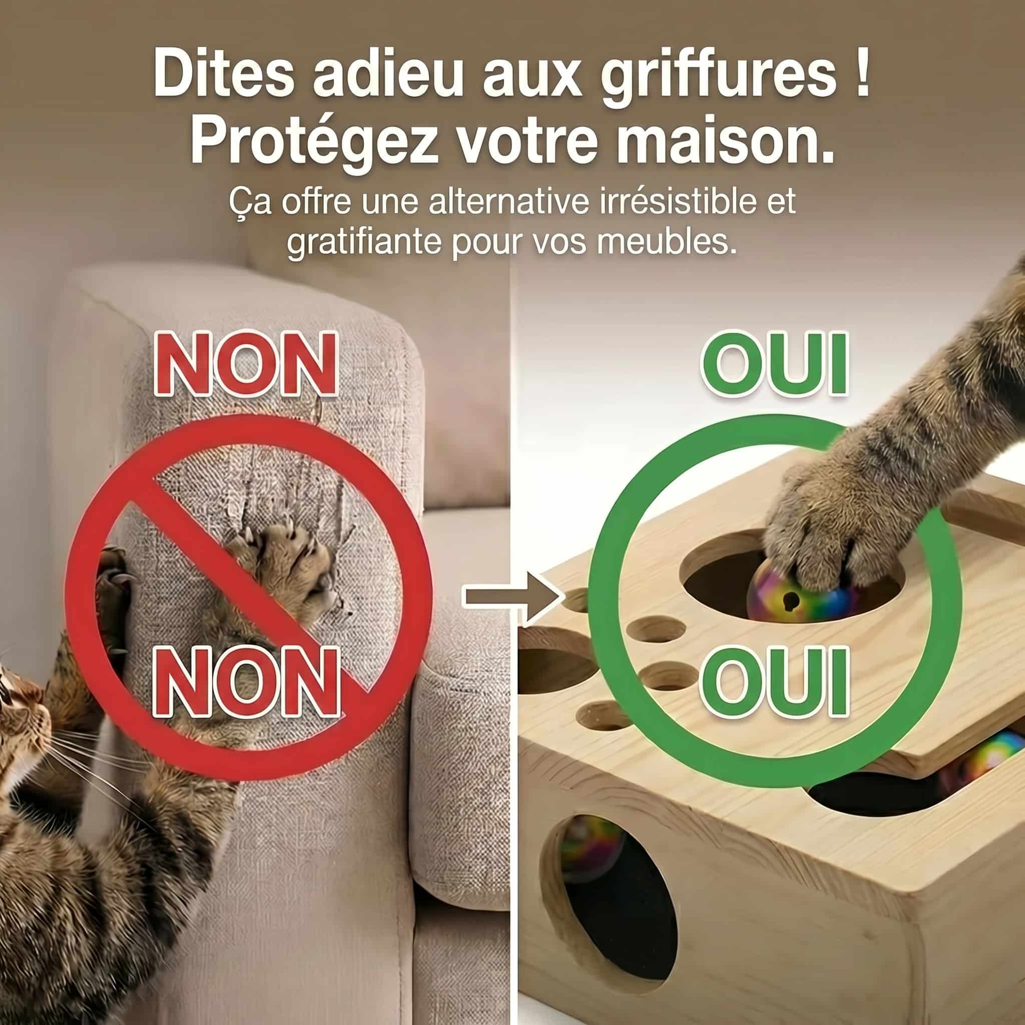 Boîte Sublim'Griffes - Notre Bestseller
