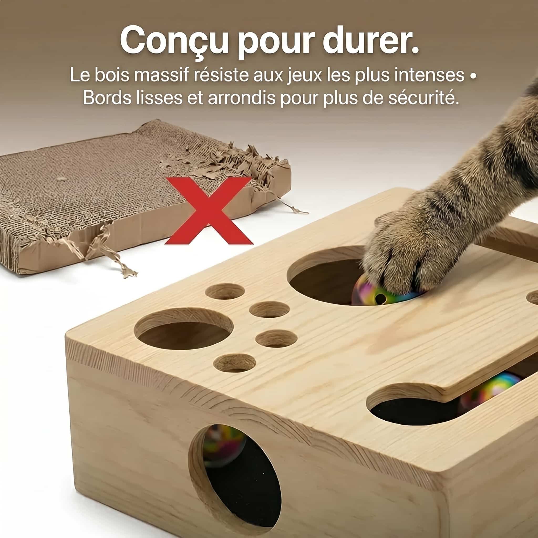 Boîte Sublim'Griffes - Notre Bestseller
